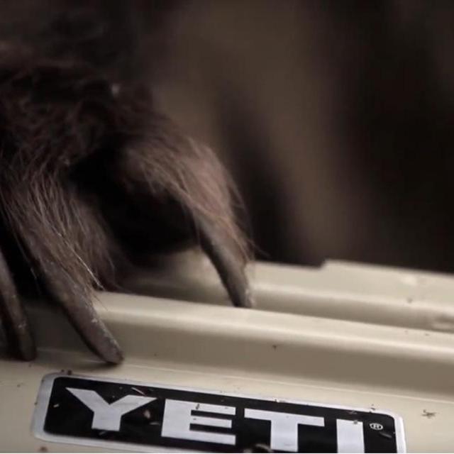 YETI | YETI Tundra 65 Hard Cooler