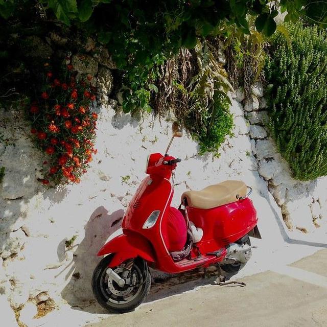 Honeymoon Island Scooter Fund