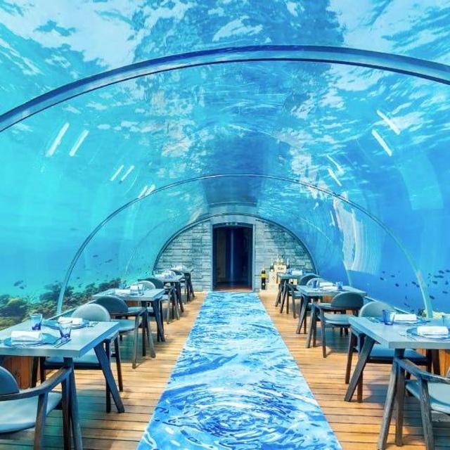 Dinner at Underwater Restaurant