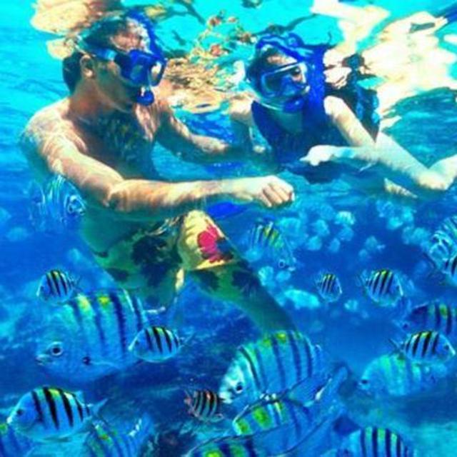 Eli's Eco Tour