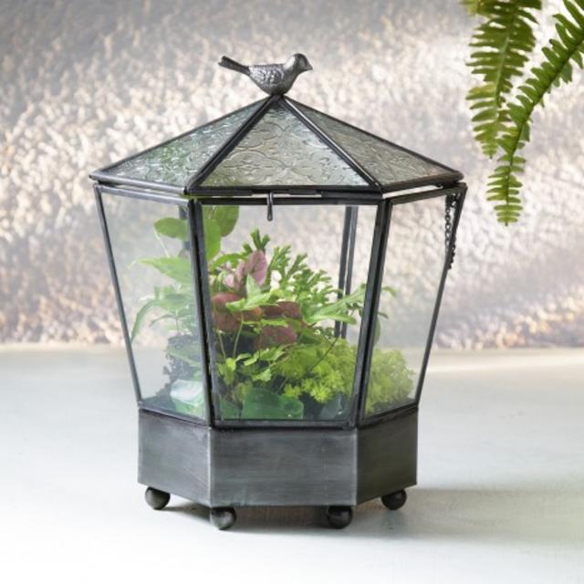 Secret Garden Terrarium