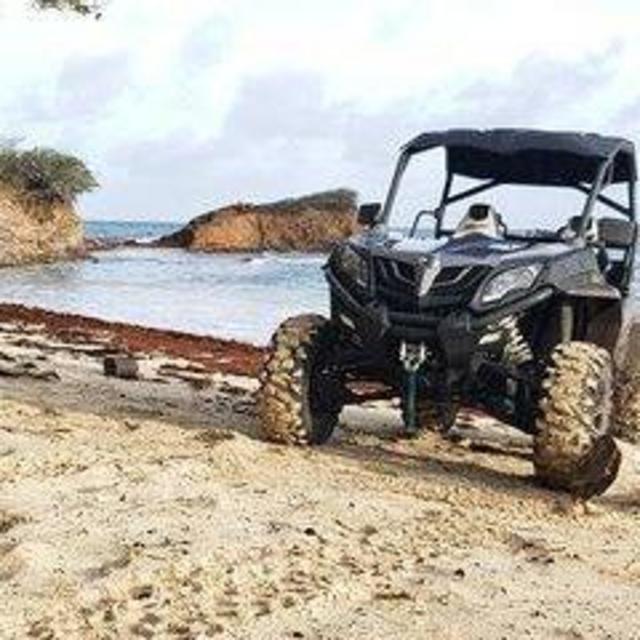 Honeymoon Island Tour