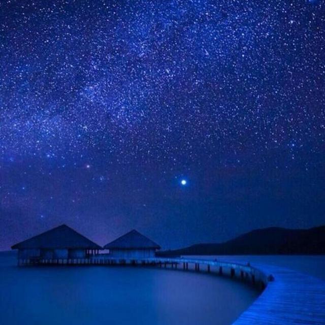 Stargazing and Champagne During Honeymoon