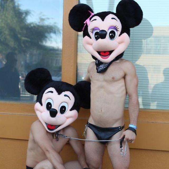 Disney Honeymoon (1 day0