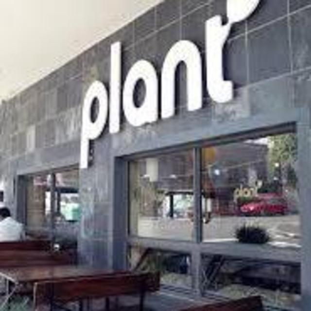 Dinner at Plant (famous Cape Town vegan restaurant)