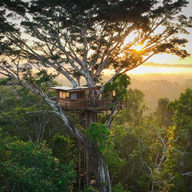 Honeymoon Fund!