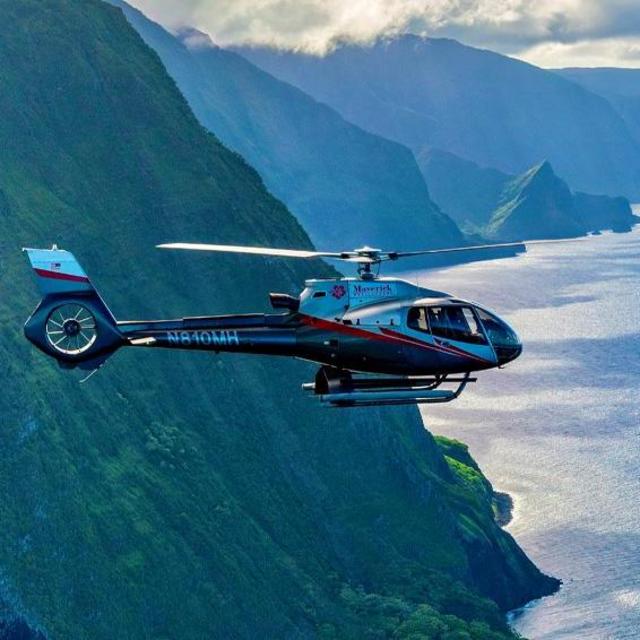 Helicopter tour on our honeymoon