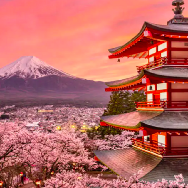 Japan Honeymoon Fund - Credit Card
