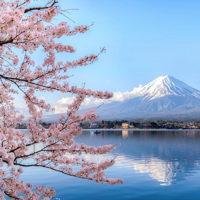 Japan Honeymoon Fund - Venmo