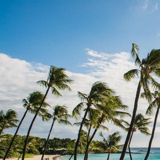 Royal Hawaiian Resort