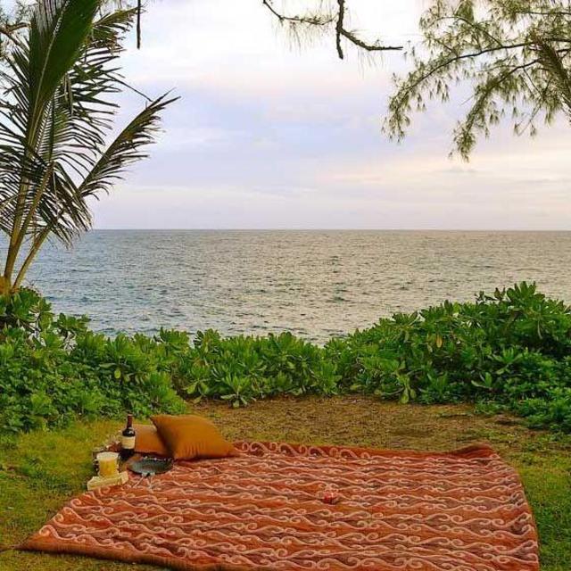 Beach Picnic