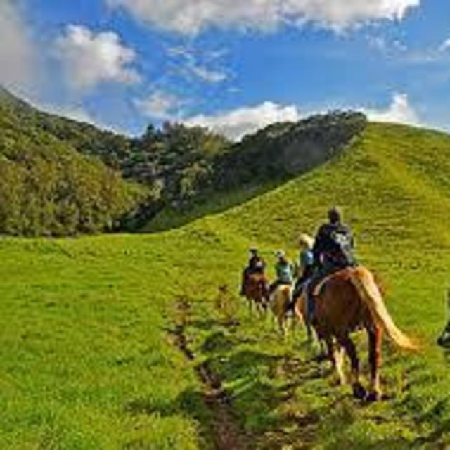 Horeback riding by Waipi'o Valley