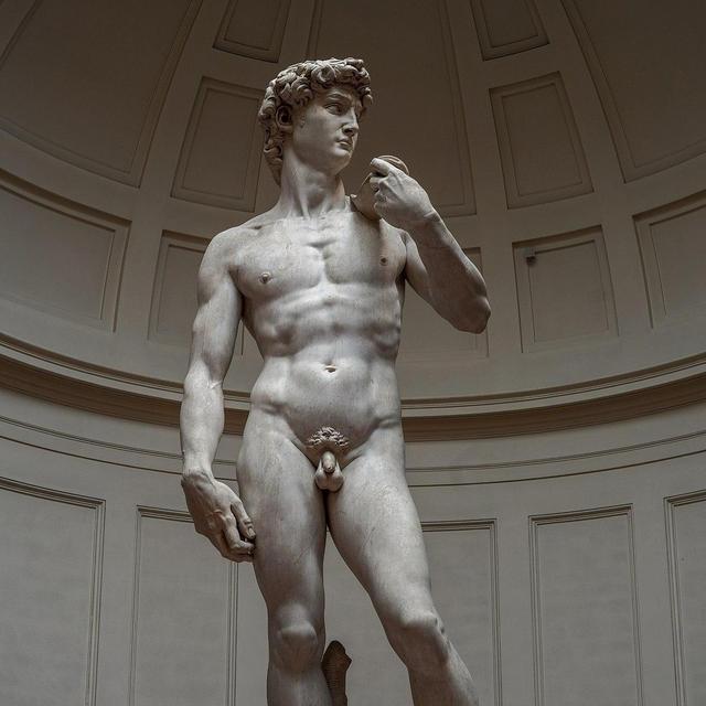 Accademia Gallery in Florence
