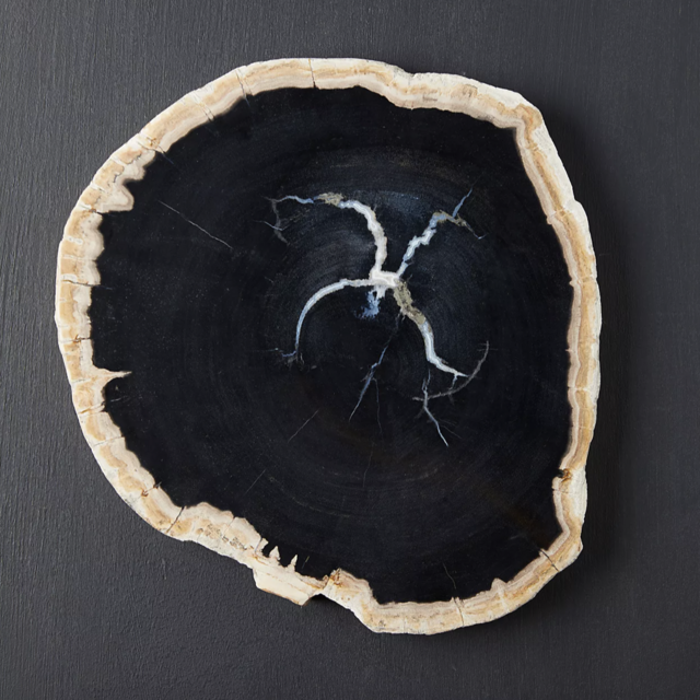 Petrfifed Wood Serving Board