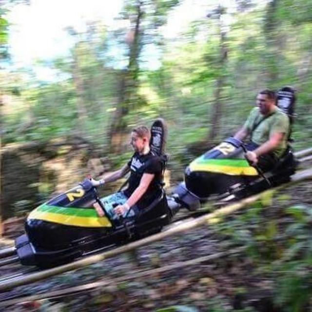 Rainforest zipline, chairlift & bobsled tour