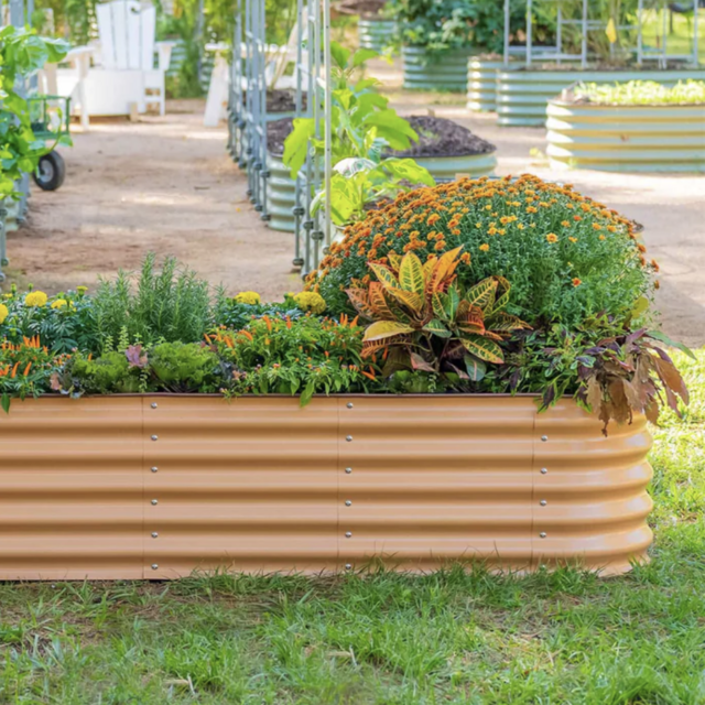 Madeline Geller and Cameron Dixon's Wedding Registry on Zola