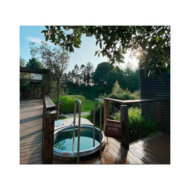 Genevie Glasgow and Stephen Dill's Wedding Registry on Zola