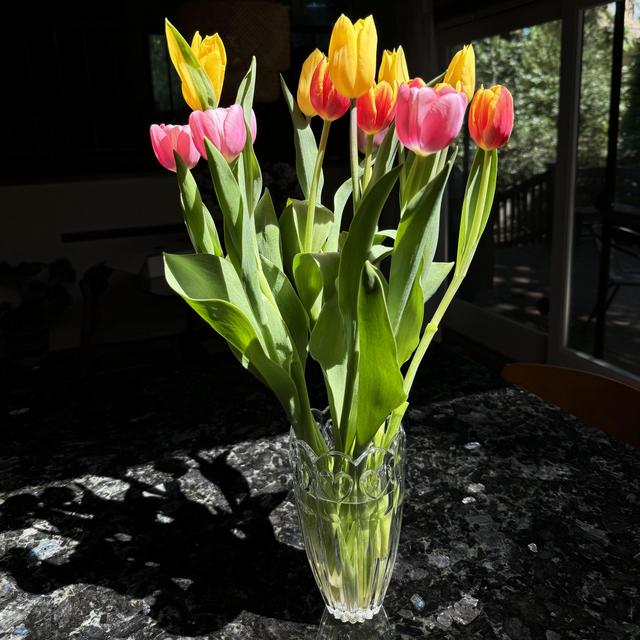 Flowers For A Year