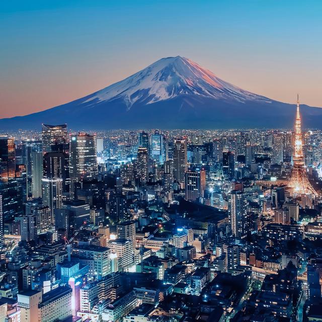 Our Honeymoon Tokyo Hotel Fund