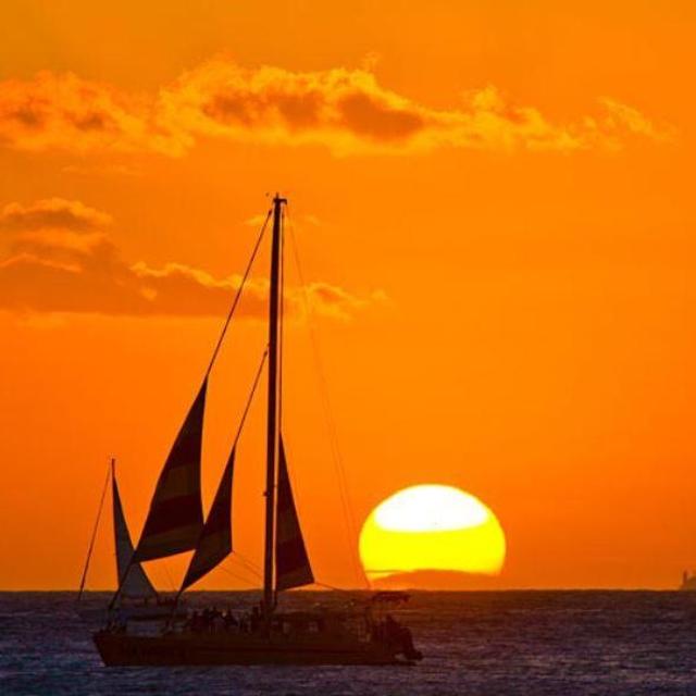 Honeymoon: Dinner Cruise