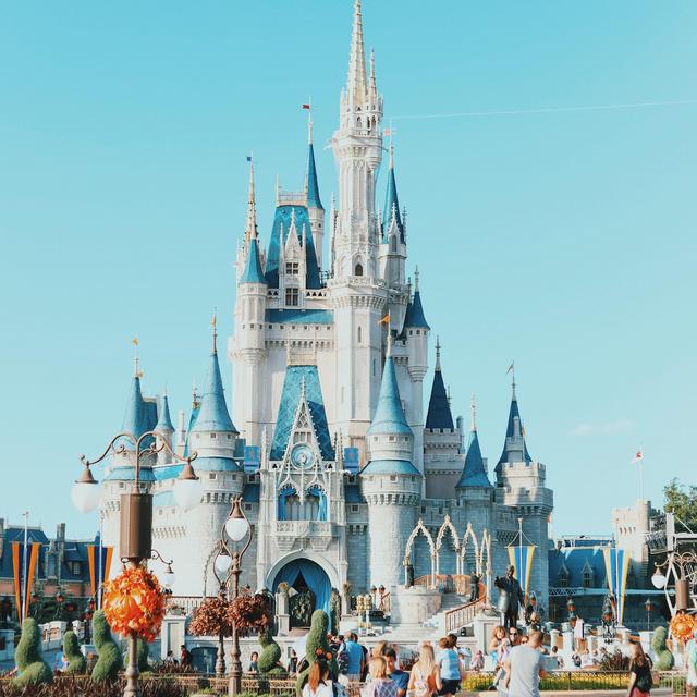 Honeymoon Fund: Disney World
