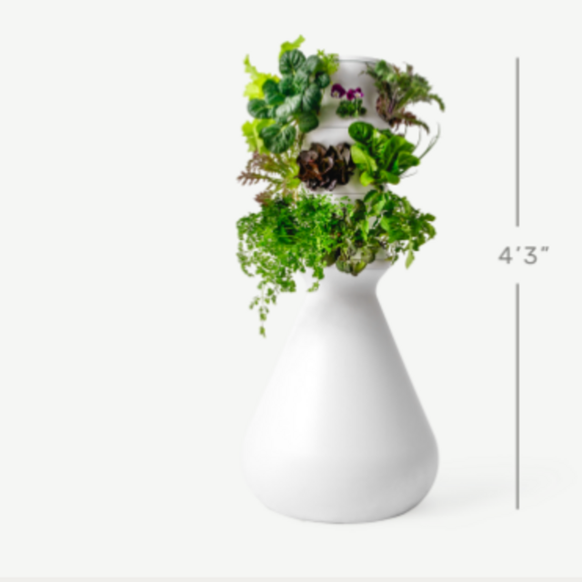 Farmstand - size 18