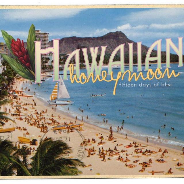 Mike & Shay's Hawaiian Honeymoon Adventure