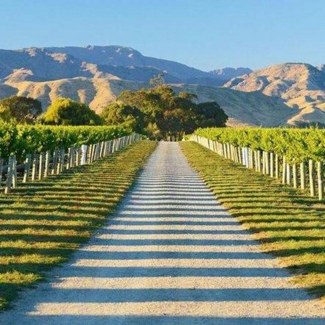 Wine Tour in Marlborough
