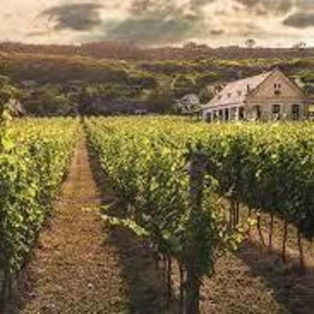 Wine Tasting Sicily