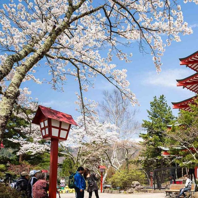 Honeymoon Fund to Japan