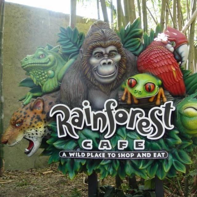 Dinner at the Rainforest Cafe in Animal Kindom