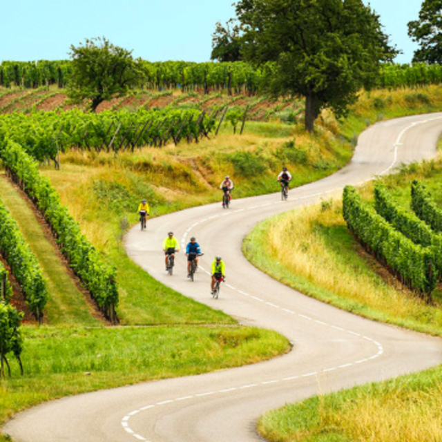 Honeymoon Fund: Bike Rentals