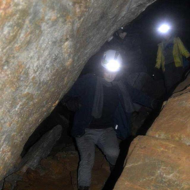 Petzl Tikka Headlamp | REI Co-op