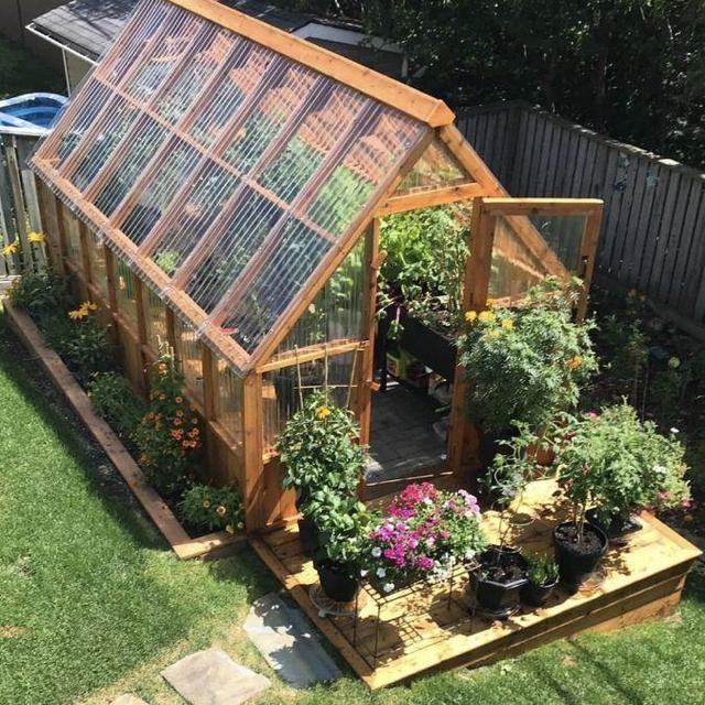 Emily's Dream Garden