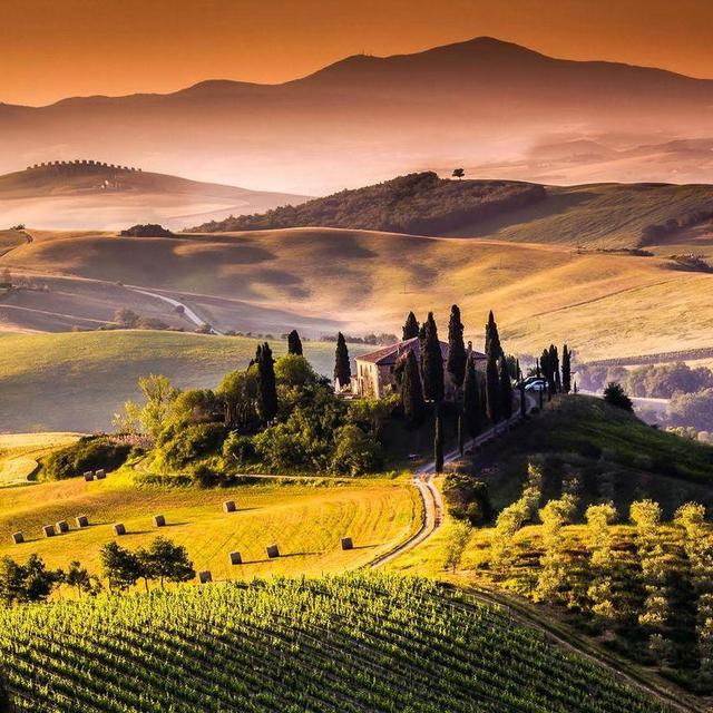 Tuscan Countryside Lunch & Pisa