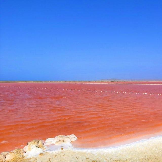 Day Trip to the Pink Sea in Cartagena