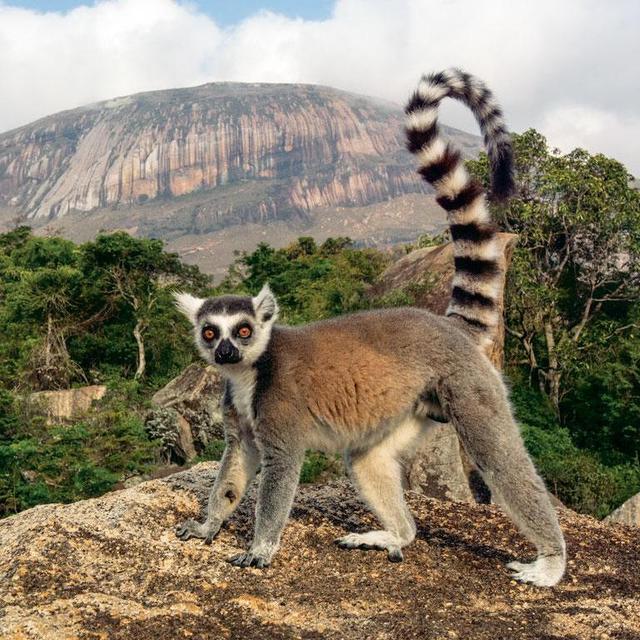 Entry to Anja Community Reserve