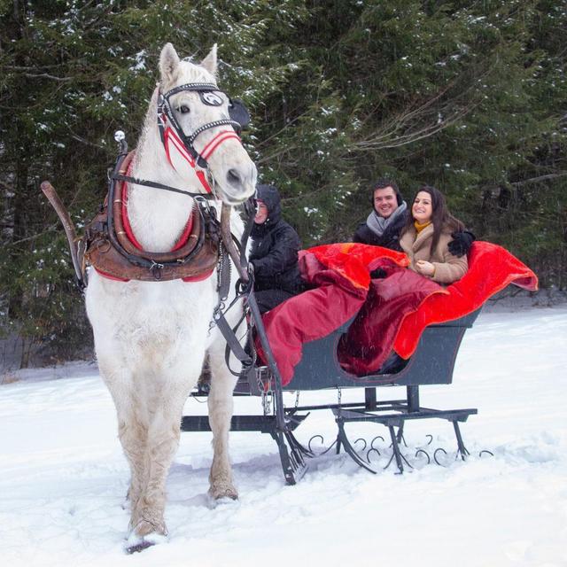 Romantic Sleigh Ride on Honeymoon