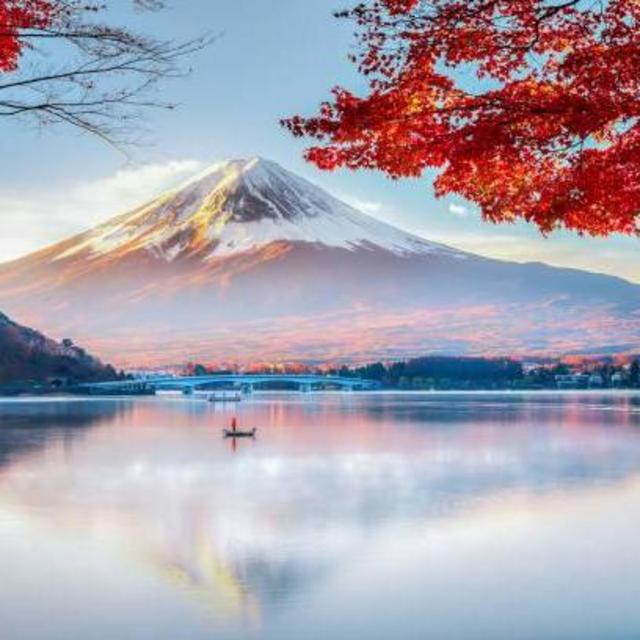 Trip to Japan (No-Fee Option) - Venmo