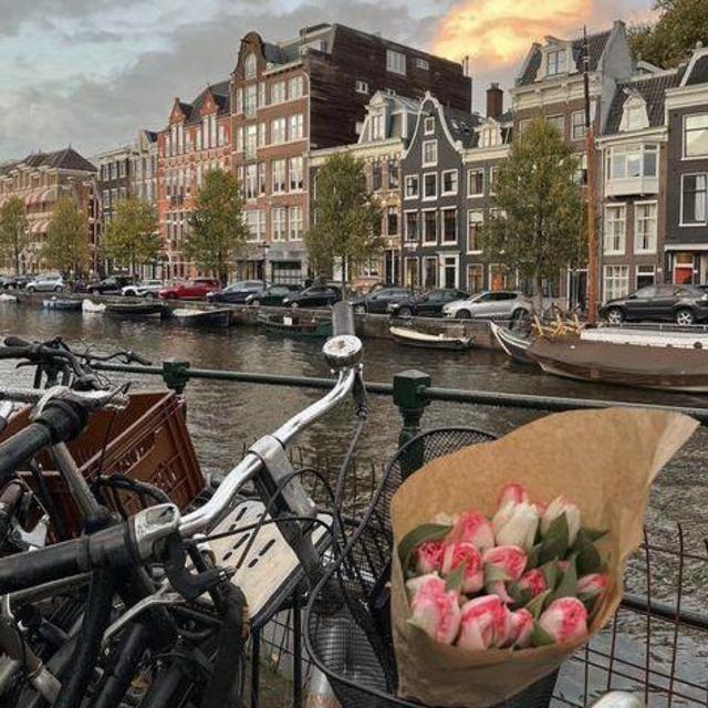 Amsterdam Bike Tour
