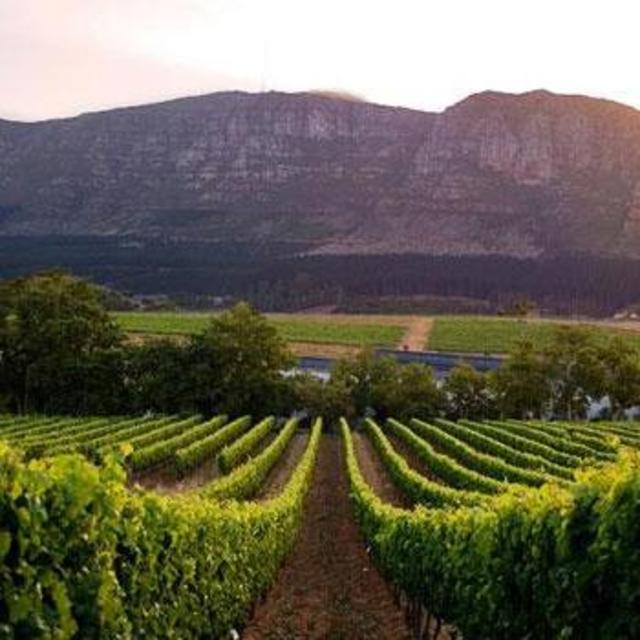 Travel Beyond private guide full-day Winelands Tour