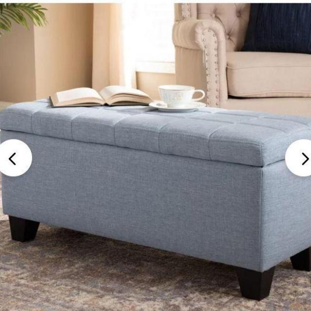 Stegall Storage Ottoman- Light Blue