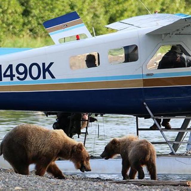 Katmai National Park | Bear Safari via Floatplane