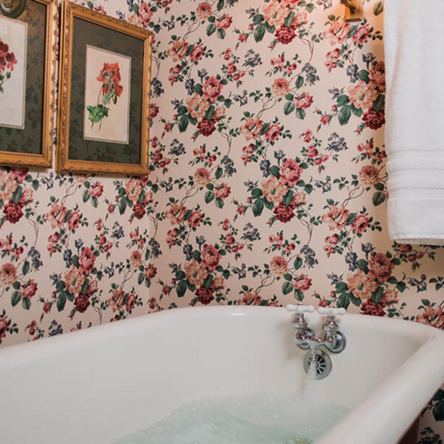 Mini Honeymoon stay in Boone