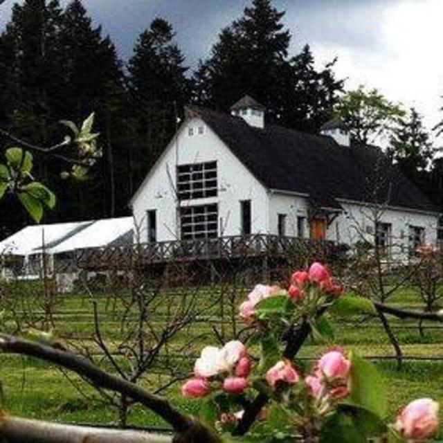 Cider Tasting in Victoria