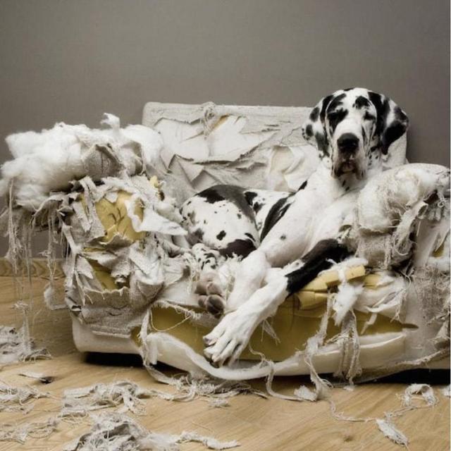 Help us buy a new sofa?