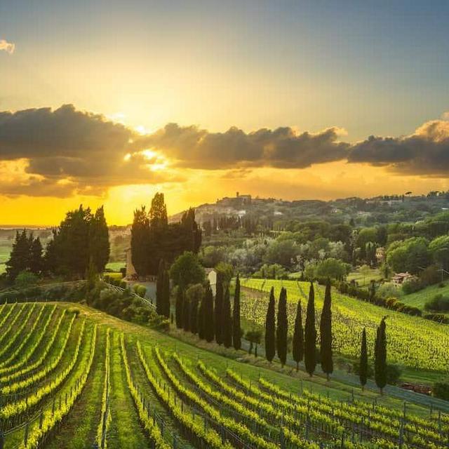 Wine Tasting For Two in Tuscany