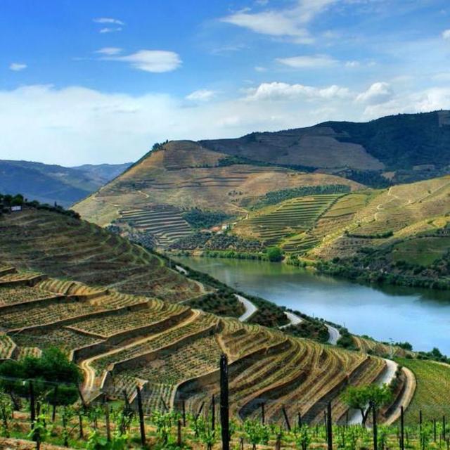 Wine Tour in the Duoro Valley