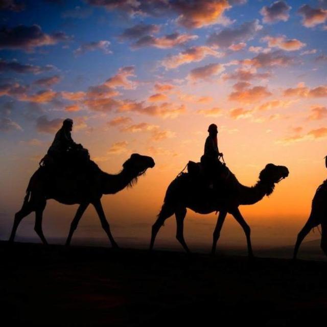 Sunrise camel trek