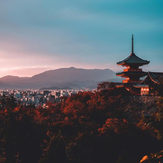 Honeymoon in Japan